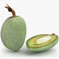 Fresh Almond Pod Cut Open