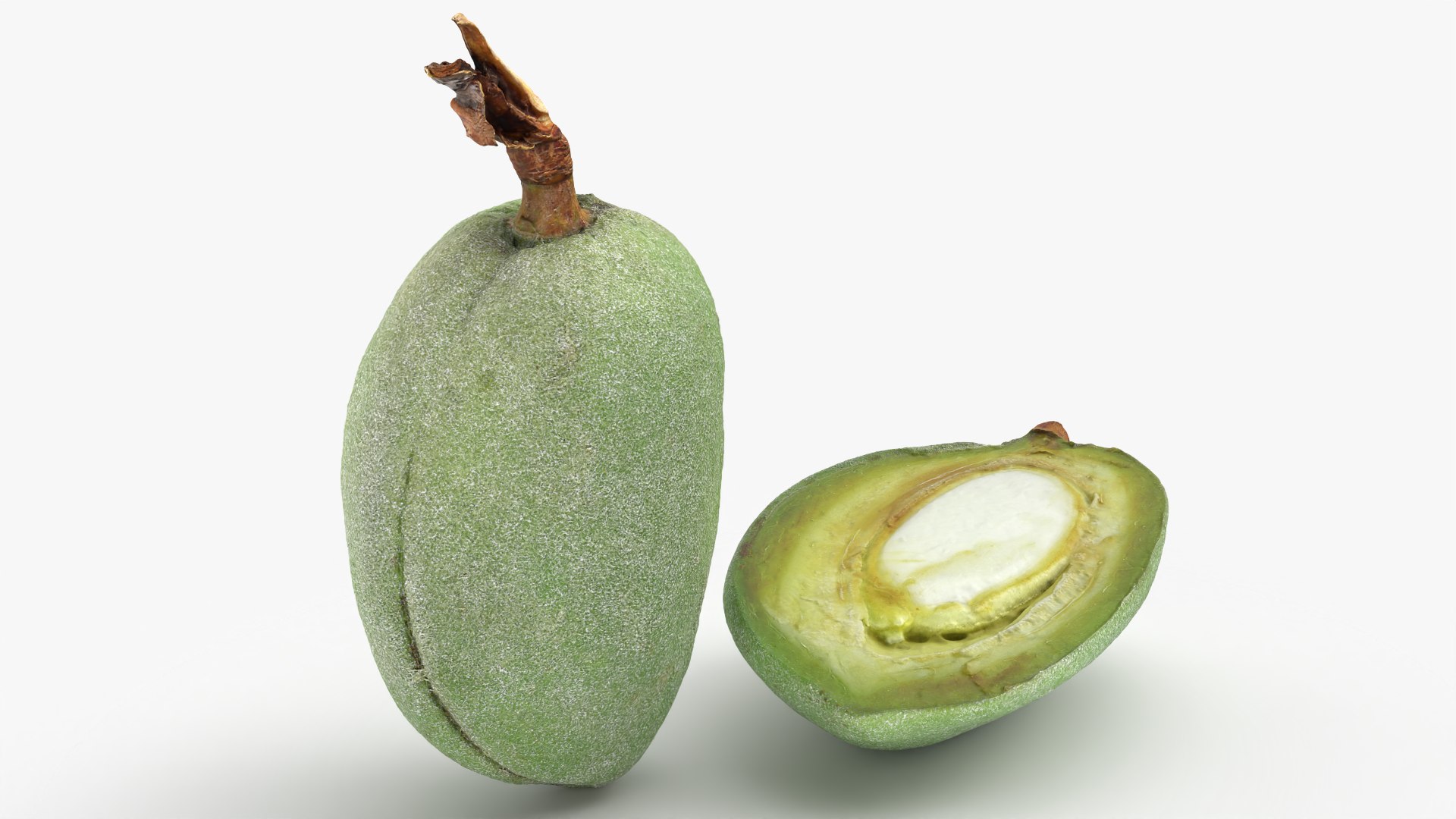 3D Fresh Almond Pod Cut Open model https://p.turbosquid.com/ts-thumb/Js/eq2gfE/Ir/almondgreencut_0003/png/1781515618/1920x1080/fit_q87/614a73dbe8e67d31fe4ef00810ad6144703fe62a/almondgreencut_0003.jpg