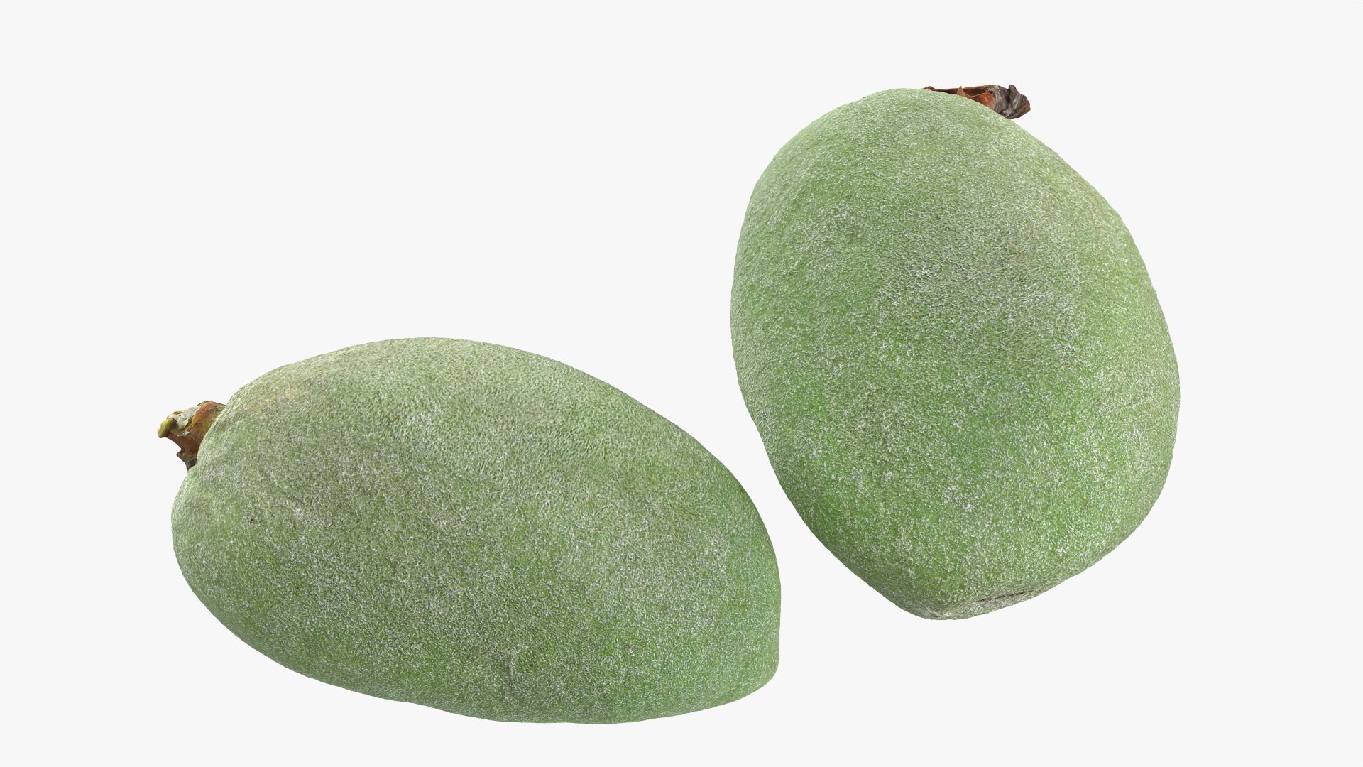 3D Fresh Almond Pod Cut Open model https://p.turbosquid.com/ts-thumb/Js/eq2gfE/KM/almondgreencut_0008/png/1781515645/1920x1080/fit_q87/1e1331d9acfd3e40d12fb261542ff4e039fddcc2/almondgreencut_0008.jpg