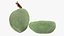 Fresh Almond Pod Cut Open
