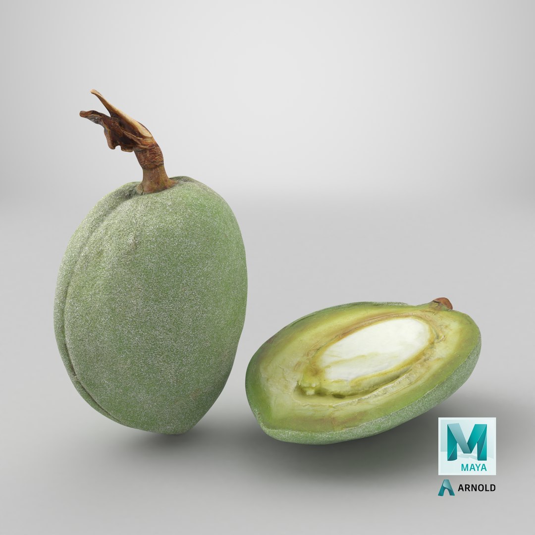 3D Fresh Almond Pod Cut Open model https://p.turbosquid.com/ts-thumb/Js/eq2gfE/Pg/stemcell_maya_arnold_render/png/1782395760/1920x1080/fit_q87/ead6aac6f7691b5e571c23ed48e2794fb86eed55/stemcell_maya_arnold_render.jpg