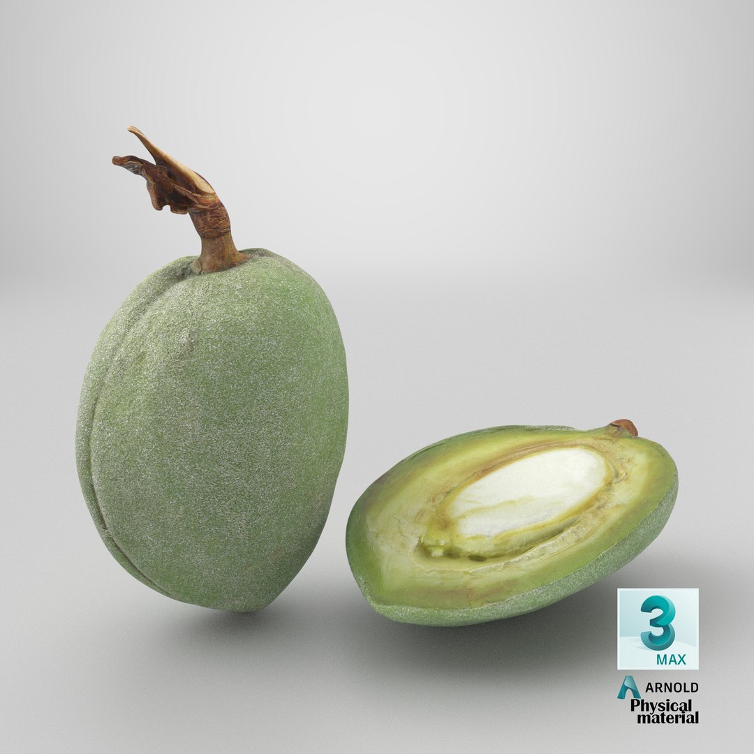 3D Fresh Almond Pod Cut Open model https://p.turbosquid.com/ts-thumb/Js/eq2gfE/VZ/stemcell_max_physical_render/png/1782395771/1920x1080/fit_q87/d1c7cfe77e19f785a83ee55bf85a8891b6c69ab2/stemcell_max_physical_render.jpg