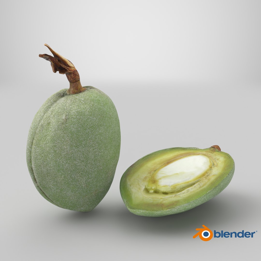 3D Fresh Almond Pod Cut Open model https://p.turbosquid.com/ts-thumb/Js/eq2gfE/Zo/stemcell_blender_cycles_render/png/1782395758/1920x1080/fit_q87/995d31b81f4d397bfe032d15349ae8d9f0adfe91/stemcell_blender_cycles_render.jpg