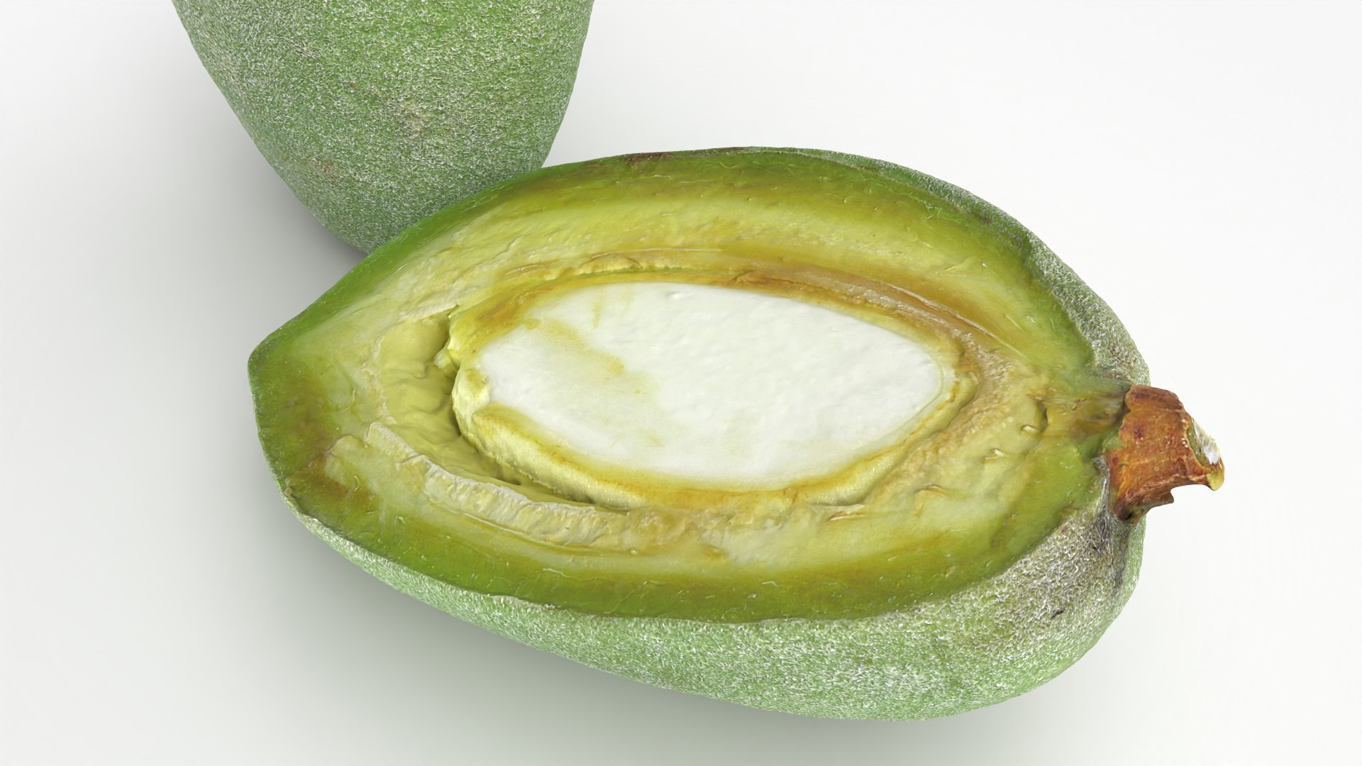 3D Fresh Almond Pod Cut Open model https://p.turbosquid.com/ts-thumb/Js/eq2gfE/jR/almondgreencut_0005/png/1781515633/1920x1080/fit_q87/0711ca4a6371864ab5ff5fa6836a89fe32a7c5a9/almondgreencut_0005.jpg