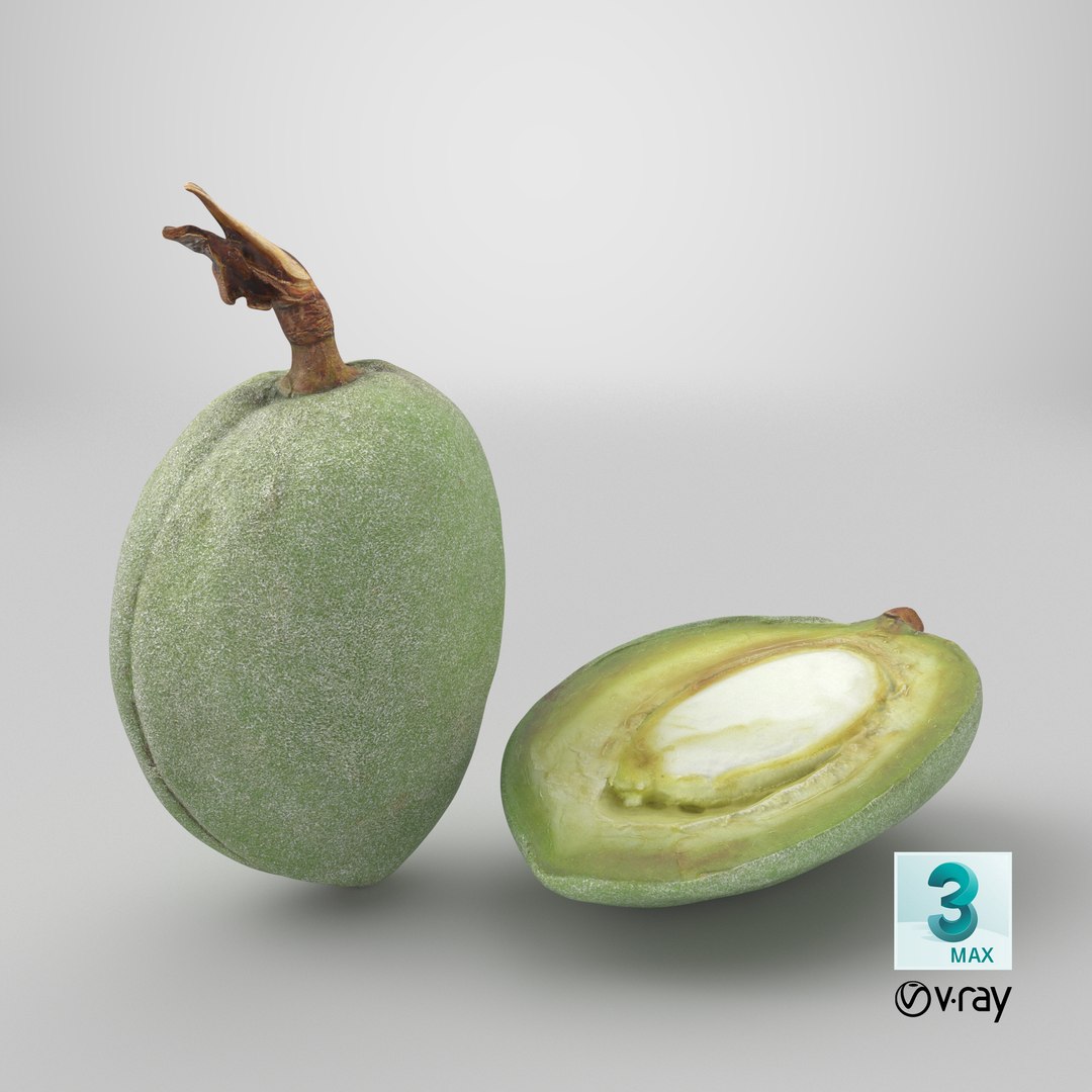 3D Fresh Almond Pod Cut Open model https://p.turbosquid.com/ts-thumb/Js/eq2gfE/qg/stemcell_max_vray_render/png/1782395767/1920x1080/fit_q87/205be3dfa7a3806009e504b6b55cd5efbf316fa5/stemcell_max_vray_render.jpg