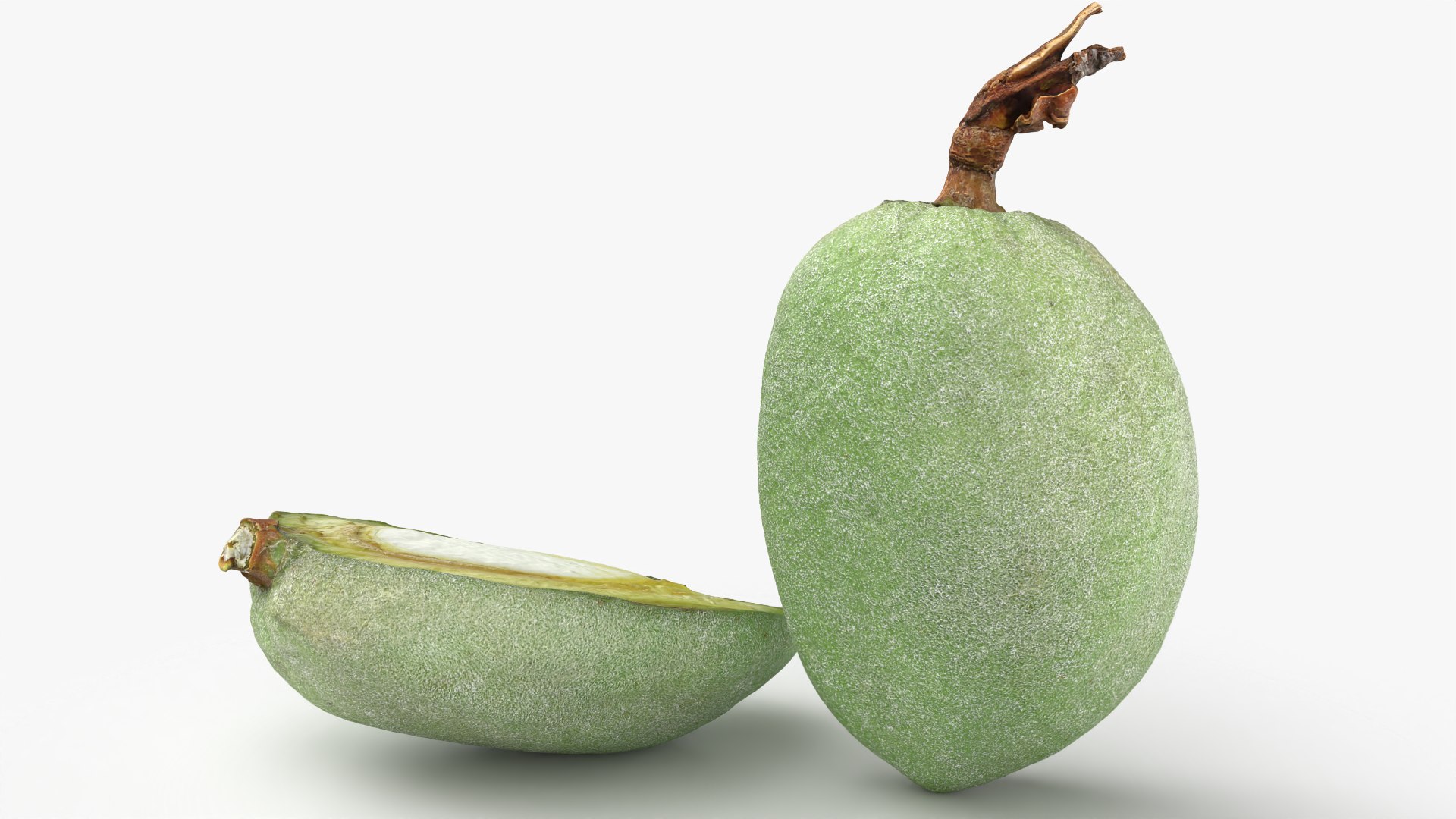 3D Fresh Almond Pod Cut Open model https://p.turbosquid.com/ts-thumb/Js/eq2gfE/vc/almondgreencut_0007/png/1781515640/1920x1080/fit_q87/616f15b2f131a45d64a1c264eab1ca2905c76773/almondgreencut_0007.jpg