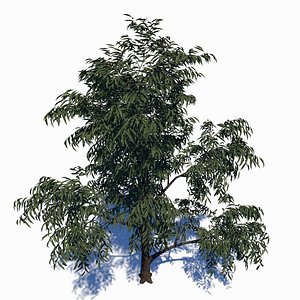 3D peach tree