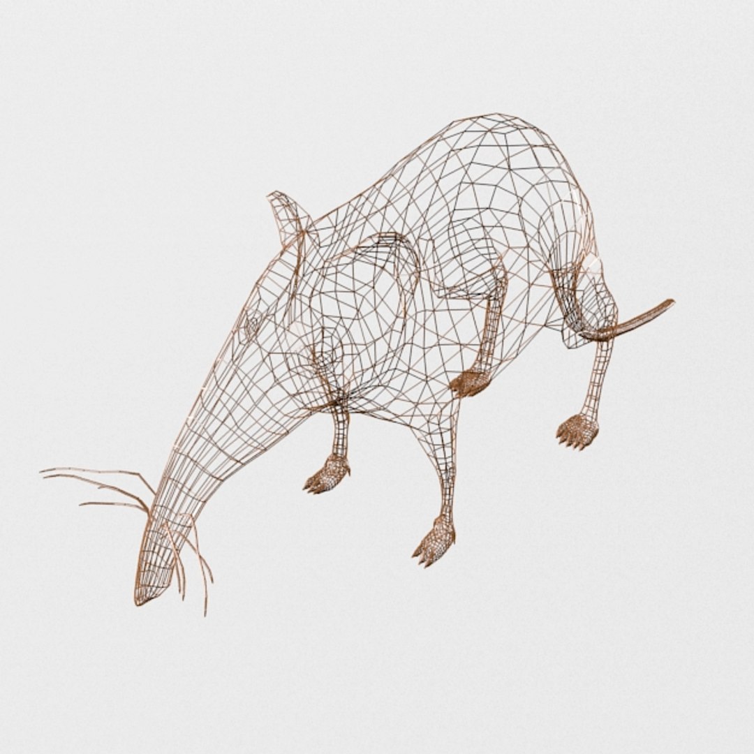 Shrew Elephant 3D Model - TurboSquid 1398186