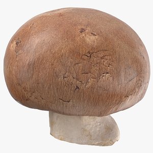 Crimino Mushroom 03