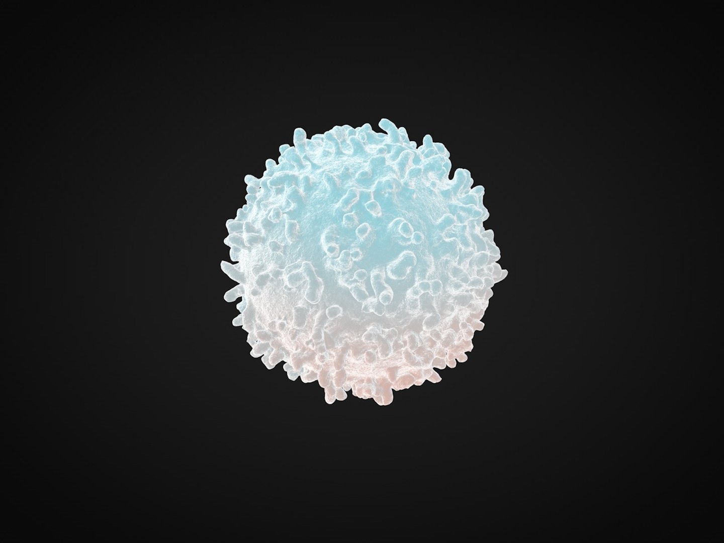 3D Red Blood Cell White Model - TurboSquid 1352561