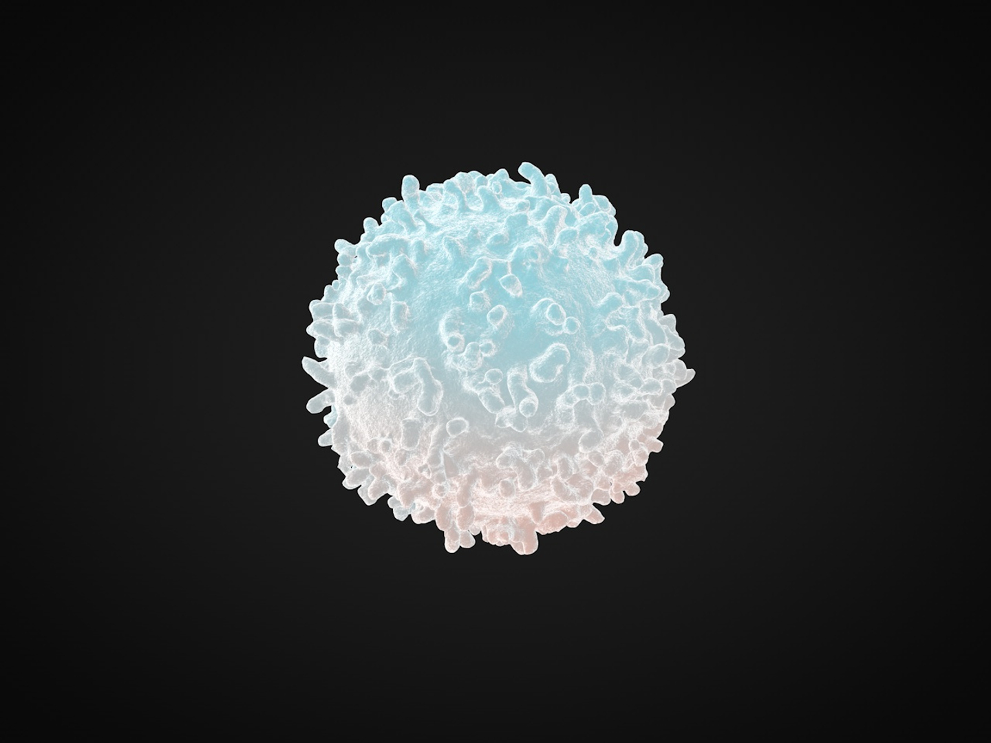 3D red blood cell white model - TurboSquid 1352561