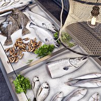 Showcase with fish and seafood