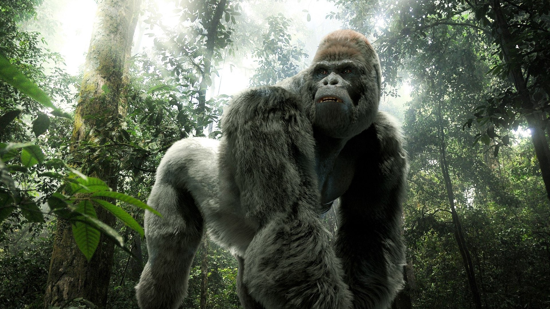Mountain Gorilla Fur Rigged 3D model https://p.turbosquid.com/ts-thumb/Jt/F9KO7G/32/02/jpg/1751371131/1920x1080/fit_q87/ea76a967b2643031c56a852239811b92884a9ace/02.jpg