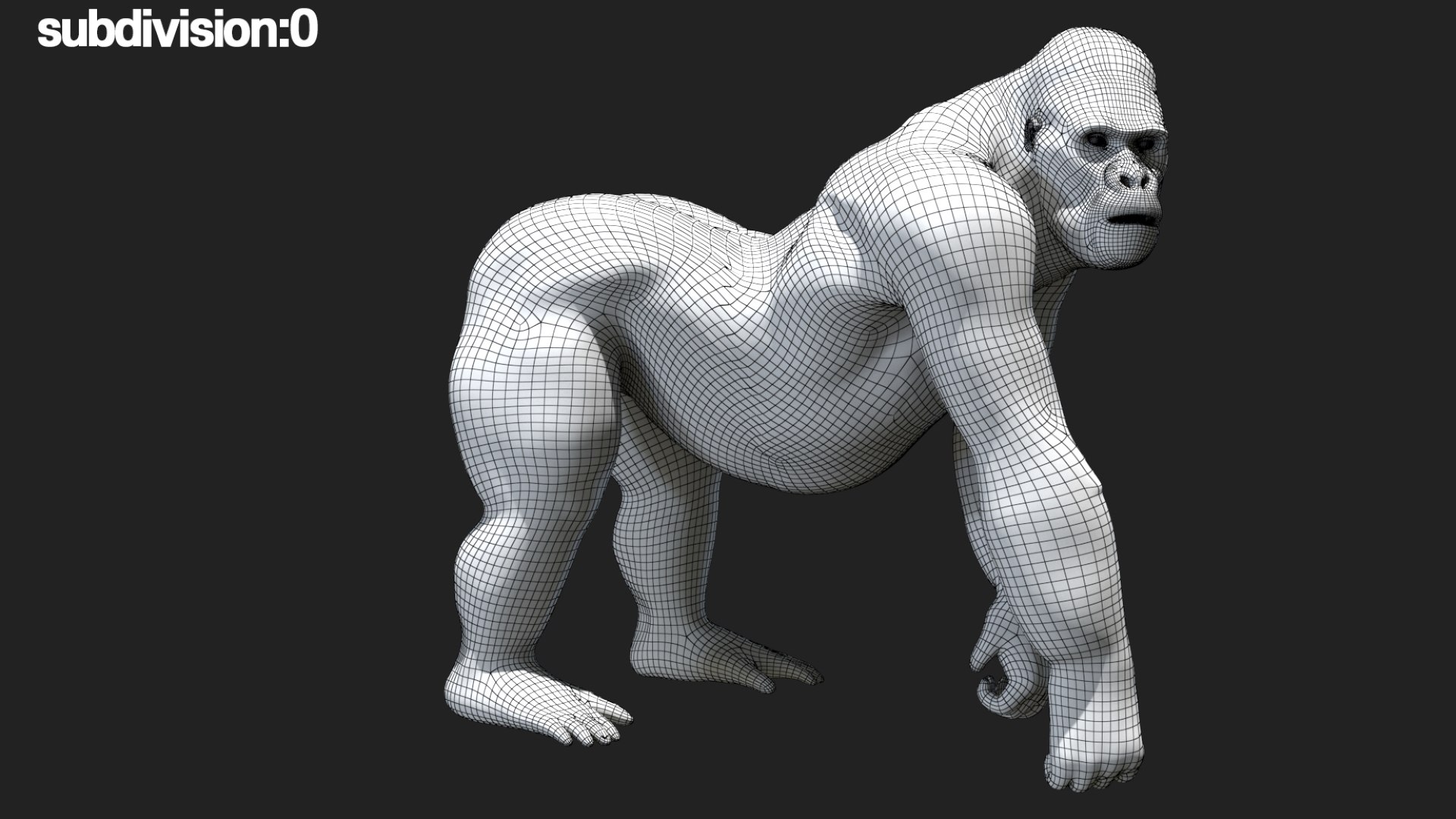 Mountain Gorilla Fur Rigged 3D model https://p.turbosquid.com/ts-thumb/Jt/F9KO7G/WD/70/jpg/1751371146/1920x1080/fit_q87/040e6609c1a539e738cf0b267a5235e381935d11/70.jpg