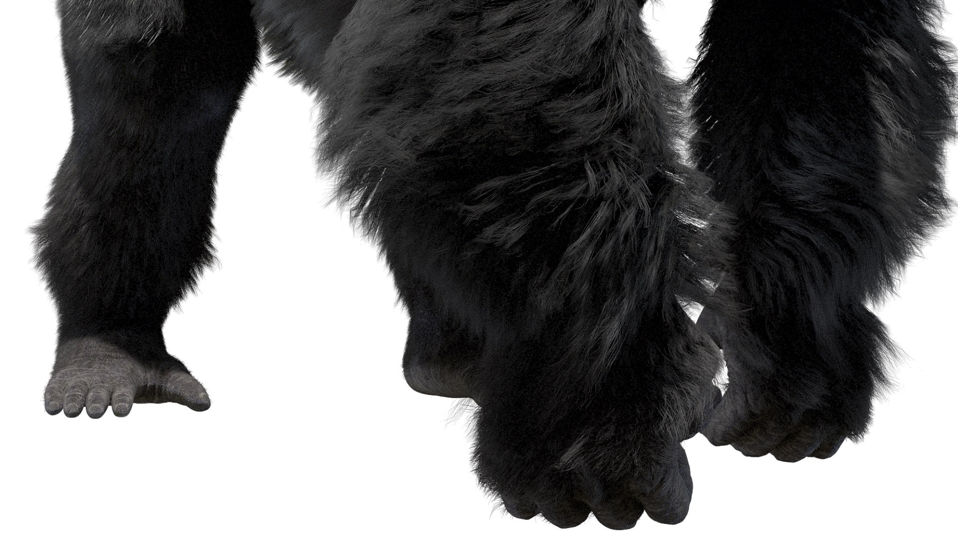 Mountain Gorilla Fur Rigged 3D model https://p.turbosquid.com/ts-thumb/Jt/F9KO7G/cY/09/jpg/1751371135/1920x1080/fit_q87/0c0779c65657def0b3761ee4ddf3461f5171e931/09.jpg