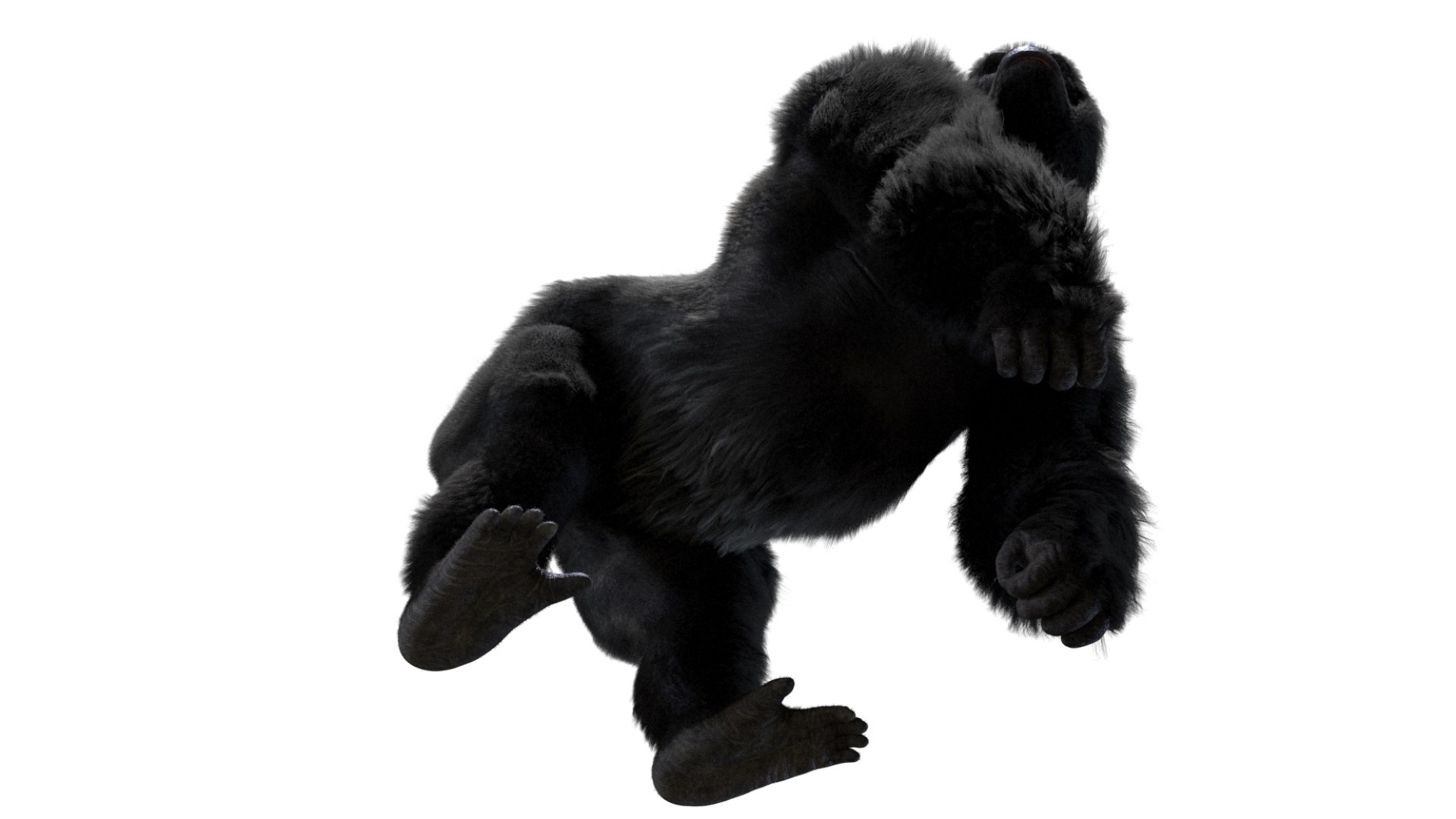 Mountain Gorilla Fur Rigged 3D model https://p.turbosquid.com/ts-thumb/Jt/F9KO7G/qK/14/jpg/1751371138/1920x1080/fit_q87/6eabe0a2b710c5ebb37f318183cdc56e43c28989/14.jpg
