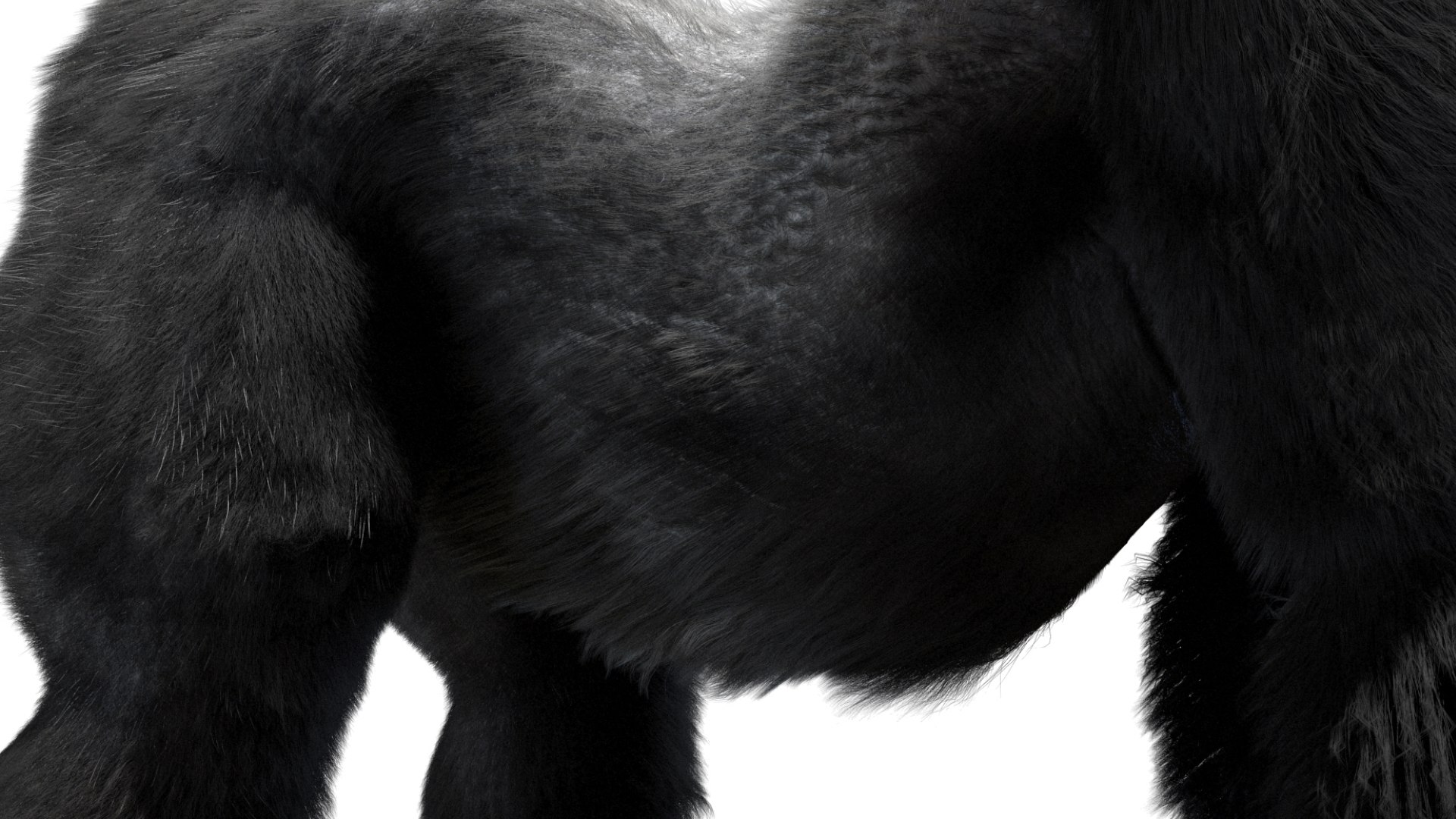 Mountain Gorilla Fur Rigged 3D model https://p.turbosquid.com/ts-thumb/Jt/F9KO7G/yq/16/jpg/1751371139/1920x1080/fit_q87/2c72ebc3713a0b4b5216ef995fadc8ec24e35d20/16.jpg