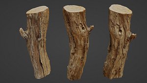 3D Log stump scan model