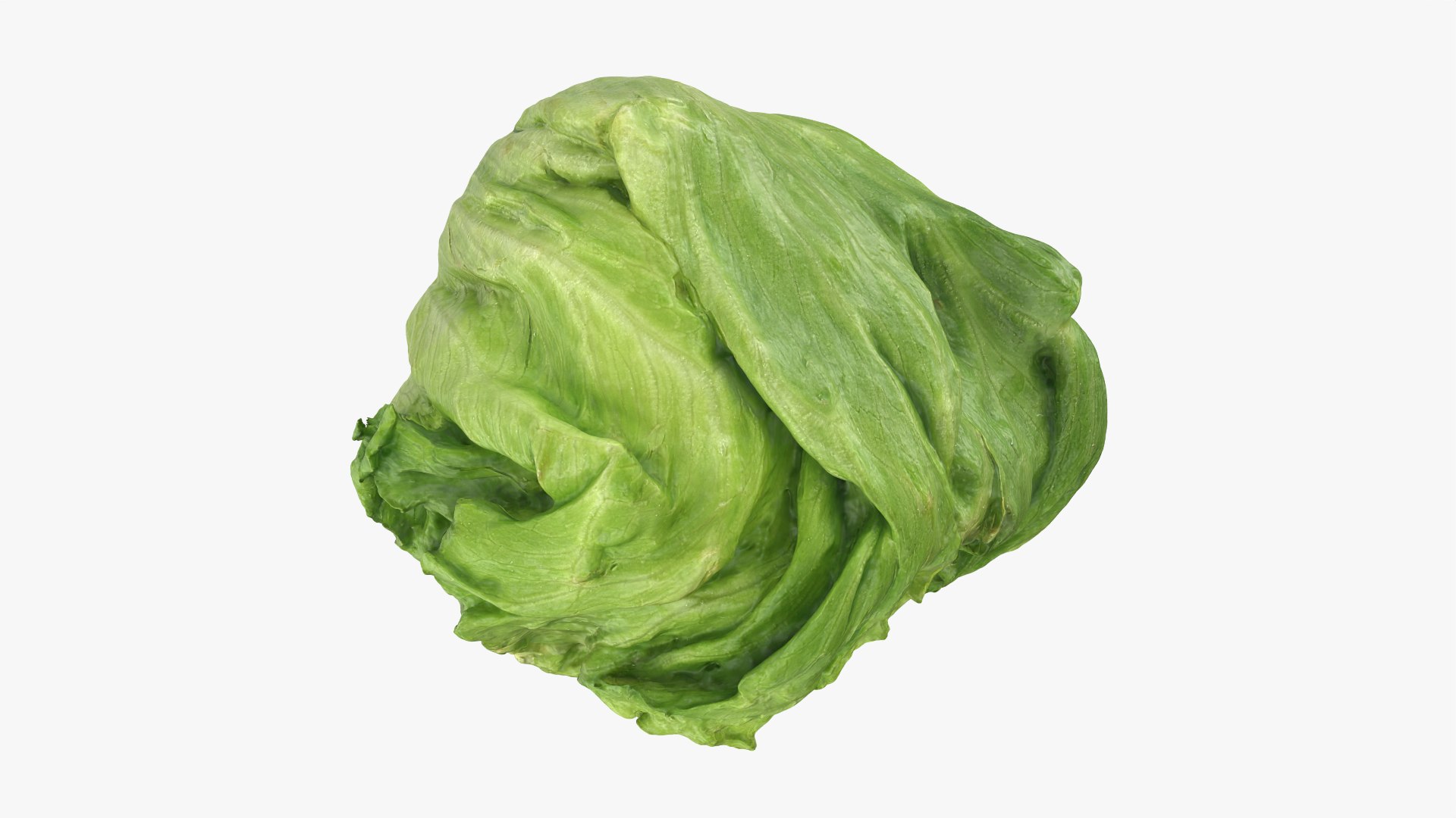 Lettuce Collection 3 model https://p.turbosquid.com/ts-thumb/Jt/VHg60N/F6/iceberglettuce_0001/png/1769623532/1920x1080/fit_q87/91773b6e9abad574d2baf43f3cd20cedcdeeecc2/iceberglettuce_0001.jpg