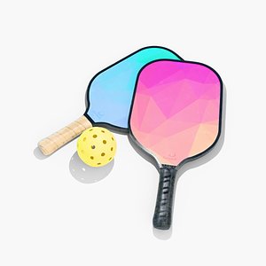 3D Pickle Ball Set