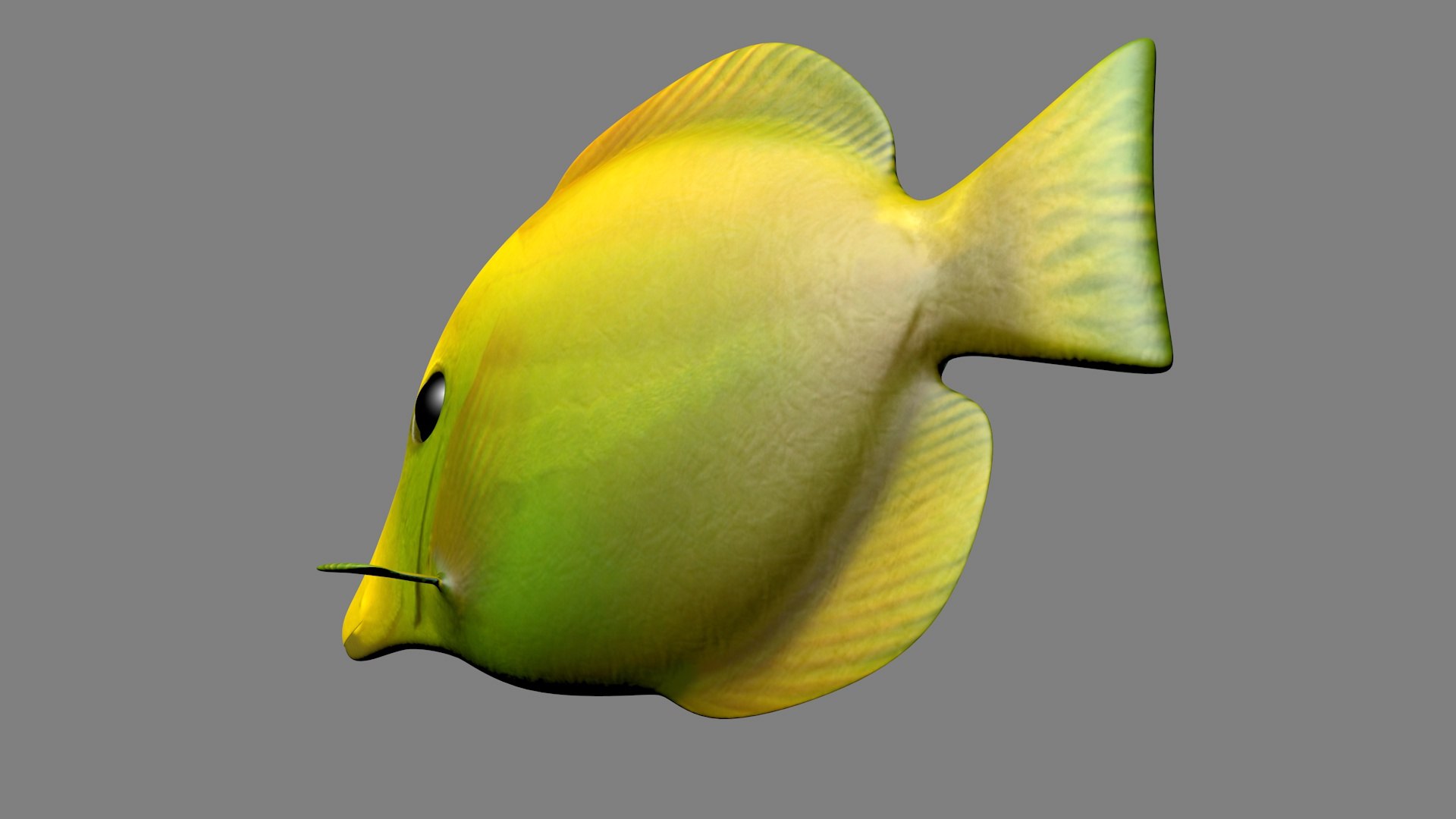 Tang Fish 3D Model - TurboSquid 2282411