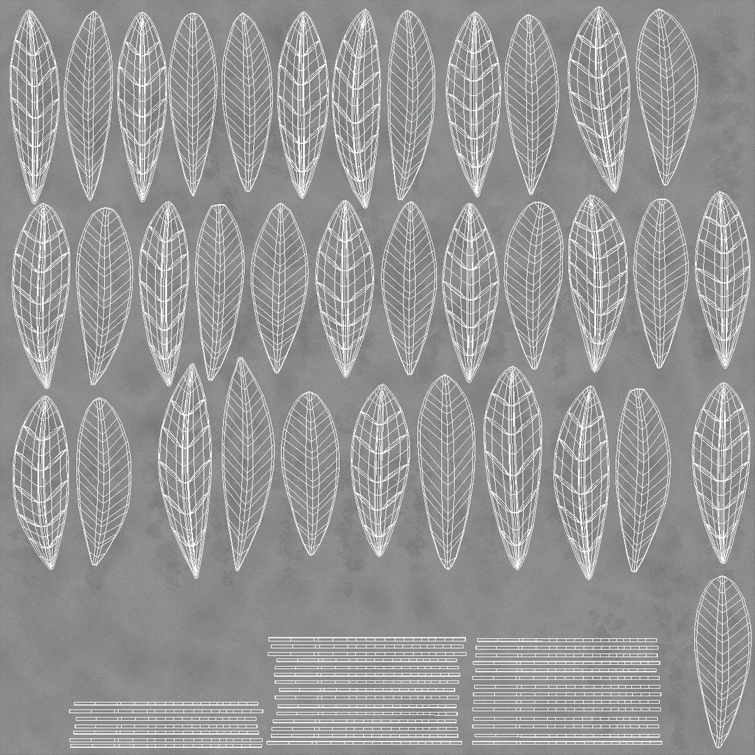 laurel wreath silver 3D model https://p.turbosquid.com/ts-thumb/Jt/XuqLqB/1rVqxda5/laurelwreathsilverc4dmodel008/png/1525579405/1920x1080/fit_q87/78e30d0a7713260df86b1c8b3ac87ae2d0bbdb82/laurelwreathsilverc4dmodel008.jpg