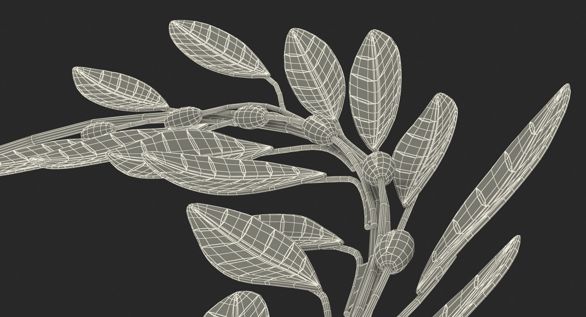 laurel wreath silver 3D model https://p.turbosquid.com/ts-thumb/Jt/XuqLqB/7fcRMBBx/laurelwreathsilverc4dmodel014/jpg/1525579428/1920x1080/fit_q87/b08e27731ef1ff7154eee172bf8418b1f5b5b199/laurelwreathsilverc4dmodel014.jpg