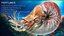 Nautilus Pompilius - Mollusque coquillage - Tentacules sous-marines - 44
