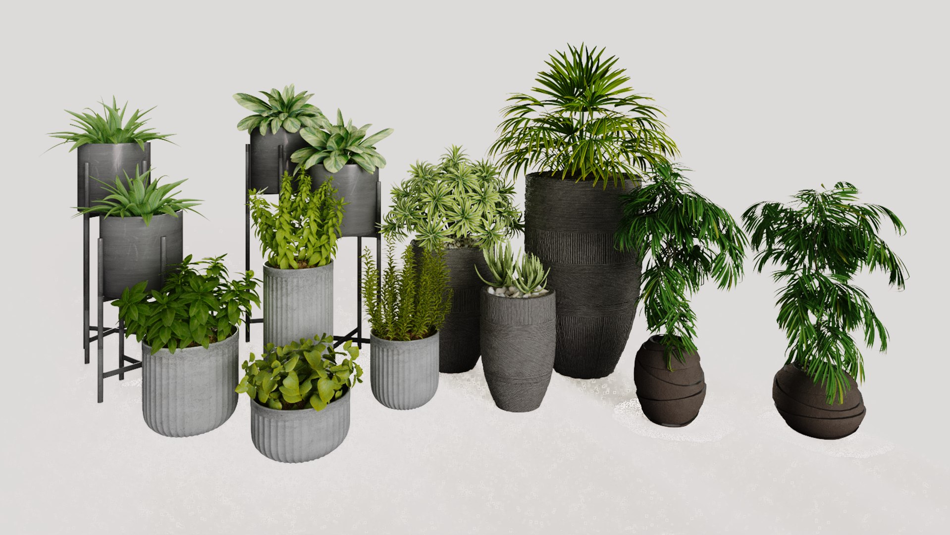 3D Decorative Plants Model - TurboSquid 2058846