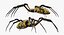 insects big 2 rigged 3D
