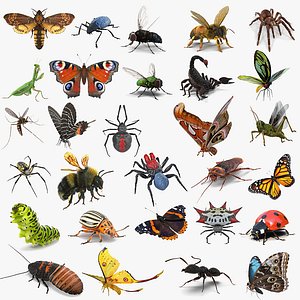 Insects Big Collection 2 Rigged for Maya