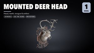 Mounted Deer Head