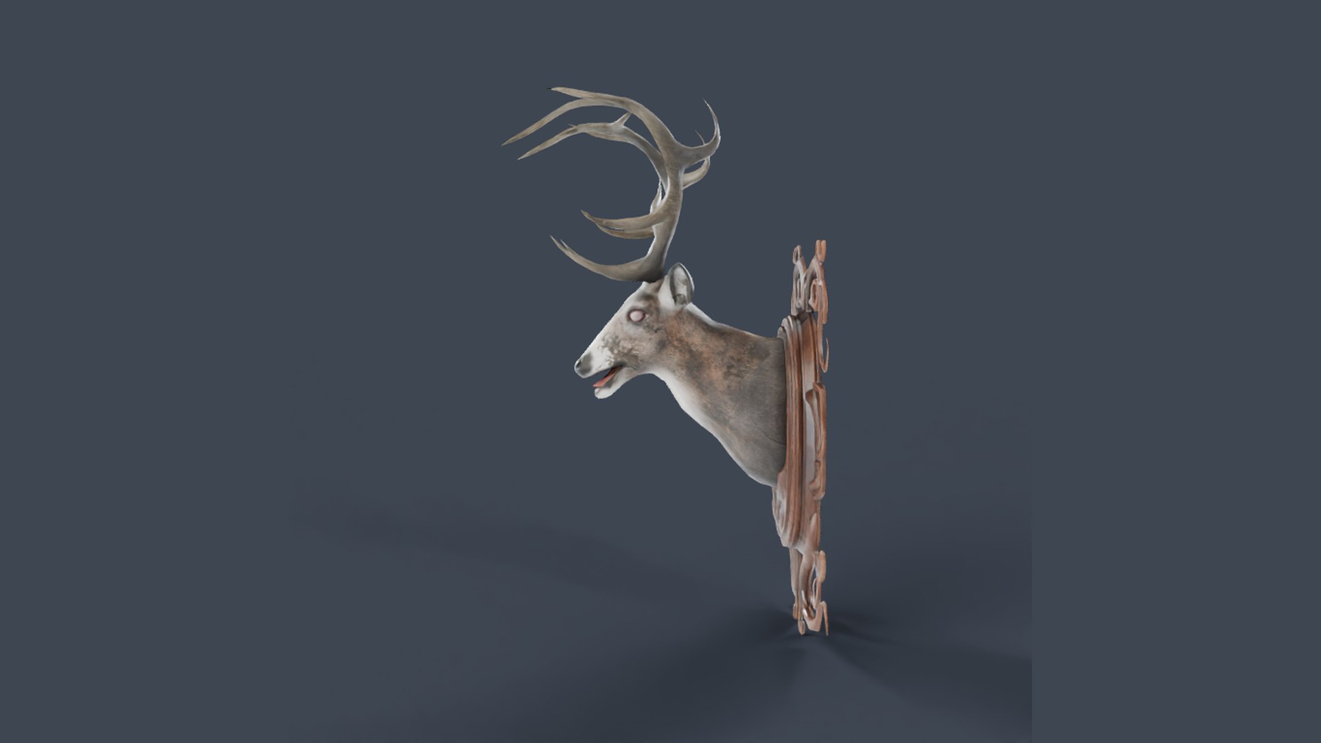 Mounted Deer Head 3D model https://p.turbosquid.com/ts-thumb/Jt/xHYwUz/dr/04_03_side/png/1791503447/1920x1080/fit_q87/2b95e1a52650741b1aeaff76865c5291cac5b7a4/04_03_side.jpg