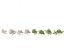 Spring Blossoms Pack 10