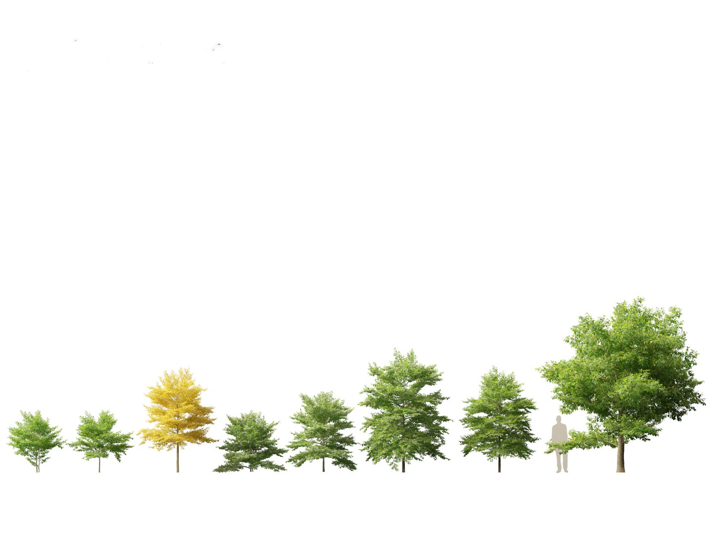 3D Spring Blossoms Pack 10 model https://p.turbosquid.com/ts-thumb/Ju/7FBCqe/Ra/styraxjaponicus011/jpg/1759234000/1920x1080/fit_q87/3325a0836f140c422d73adcb70afb3da71ae5eff/styraxjaponicus011.jpg