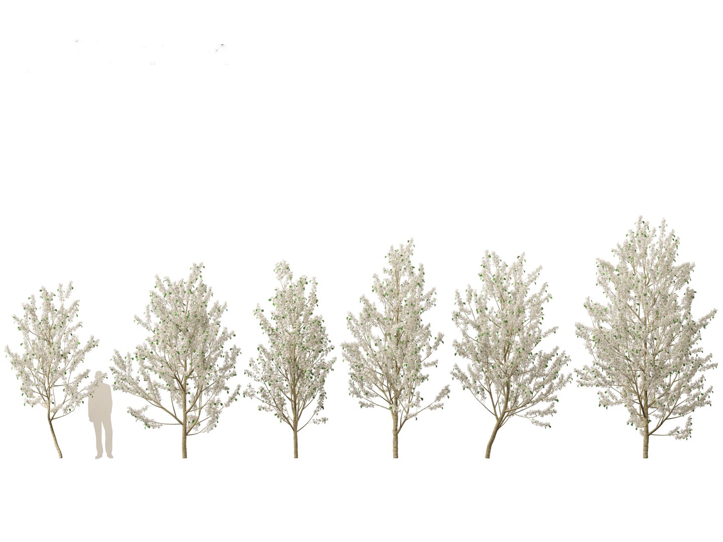 3D Spring Blossoms Pack 10 model https://p.turbosquid.com/ts-thumb/Ju/7FBCqe/cM/pyruscalleryanawinterglow011/jpg/1759233998/1920x1080/fit_q87/02048800d7e7627964abab26780aa14bcd7cbc99/pyruscalleryanawinterglow011.jpg