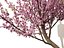 Spring Blossoms Pack 10