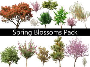 3D Spring Blossoms Pack 10 model