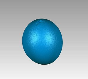 chicken egg natural 3D model