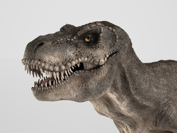 trex - 3d obj