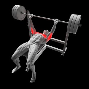Bench Press