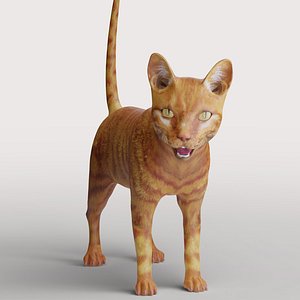 3D Cat Yellow V3 Rigged model