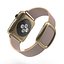 Apple Watch Collection 3