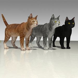 3D model photo-realistic cats