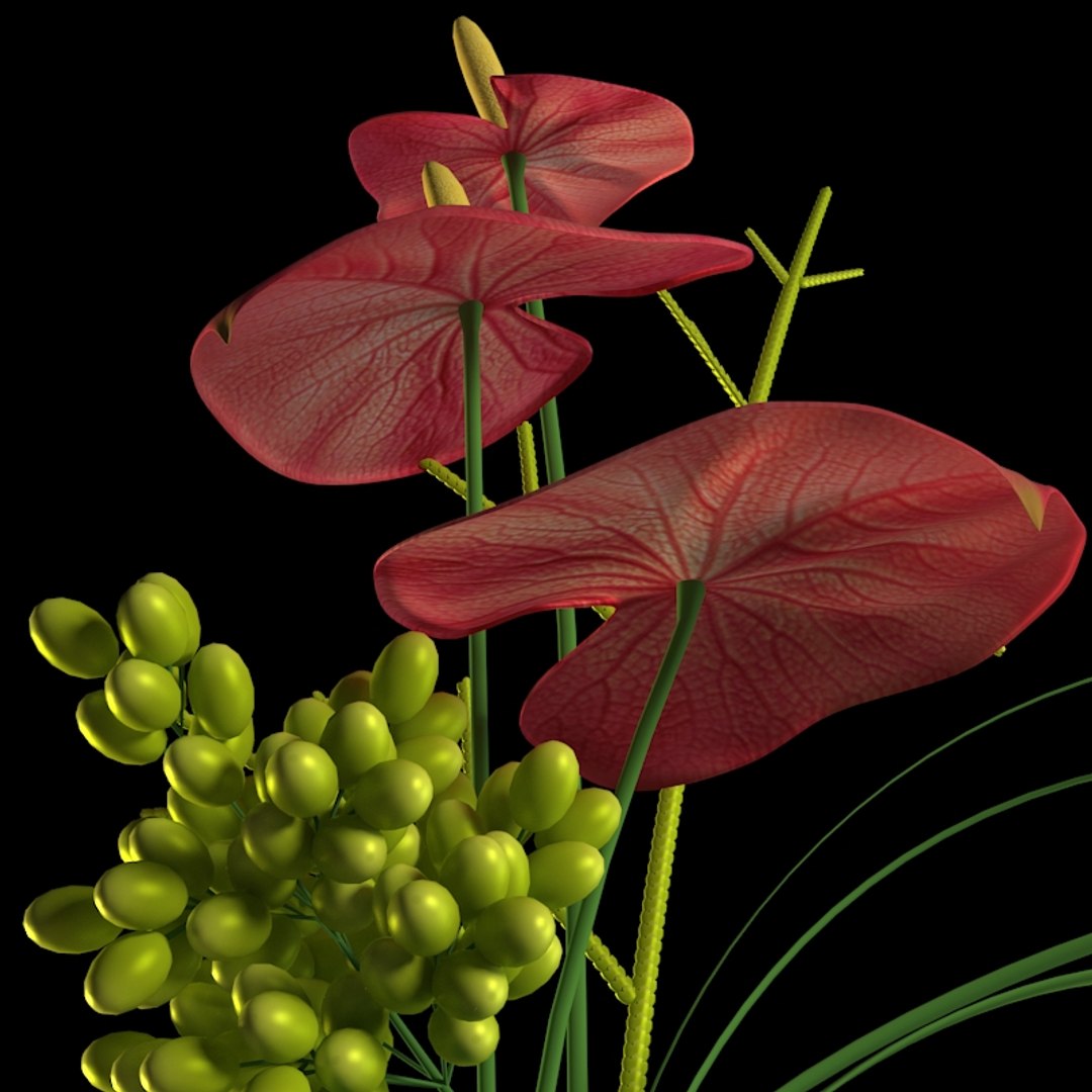 3d model flower https://p.turbosquid.com/ts-thumb/Ju/hSPt3u/7humCCSq/preview4/jpg/1481986608/1920x1080/fit_q87/5df40550f9fed40f9062f4afeae933d1435192c9/preview4.jpg