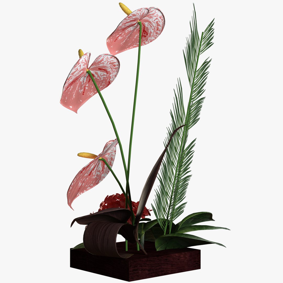 3d model flower https://p.turbosquid.com/ts-thumb/Ju/hSPt3u/MOBm1zvr/preview2/jpg/1481986615/1920x1080/fit_q87/367eae7ce7bc04a60568b9e6eaa05c800a6acace/preview2.jpg