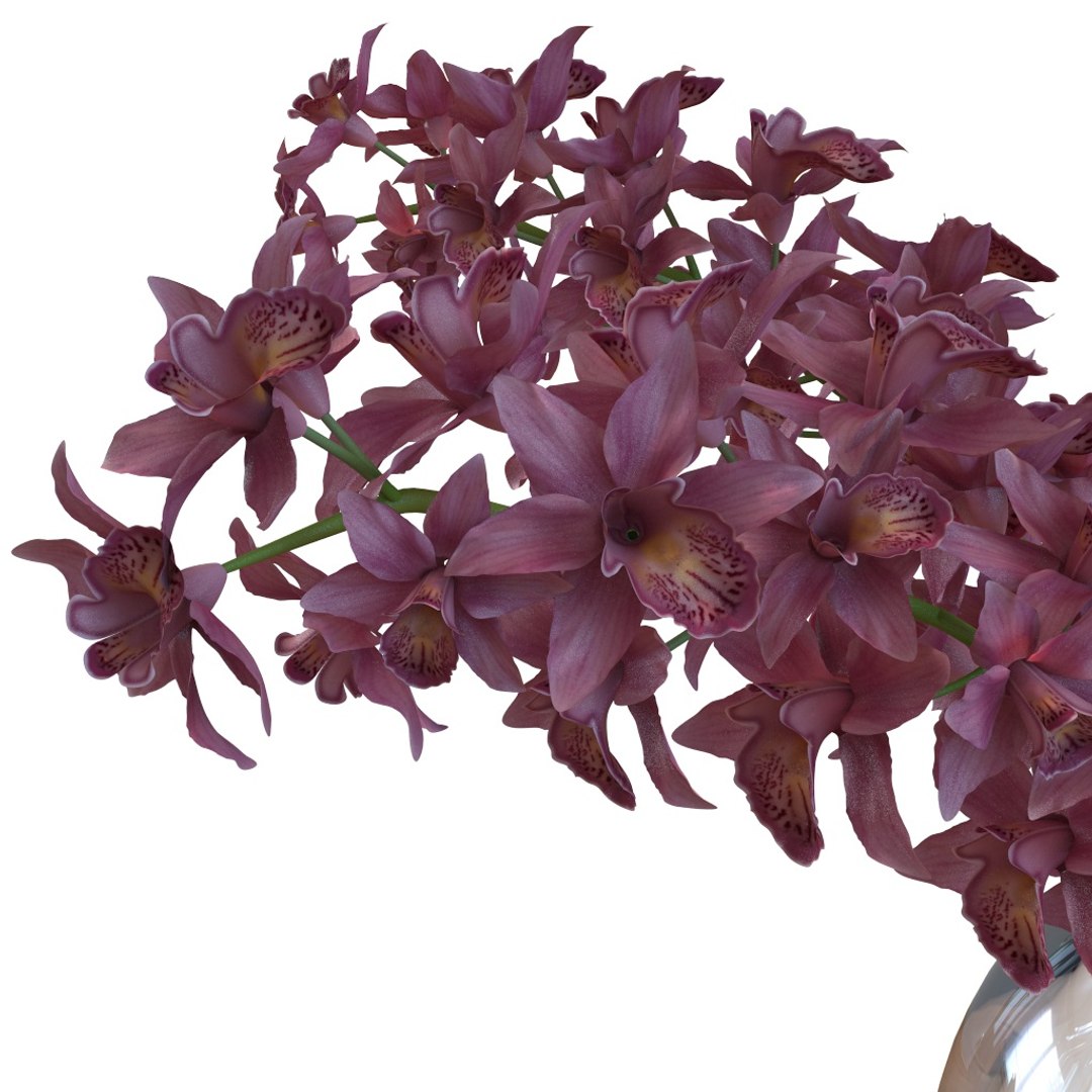 3d model flower https://p.turbosquid.com/ts-thumb/Ju/hSPt3u/efvqnUBB/preview2/jpg/1481986546/1920x1080/fit_q87/989bb034e93eed00cc8daec311ac9b967c469b62/preview2.jpg