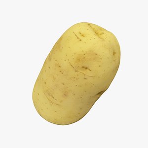 3D Potato - Extreme Definition 3D Scanned
