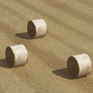 Hay Field