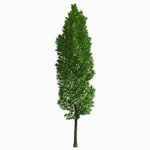 3d model of tree environment
